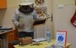 Co robią pszczoły przez dzień cały w pasiece